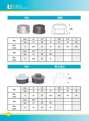 PHỤ KIỆN NẮP BỊT REN SHANXI